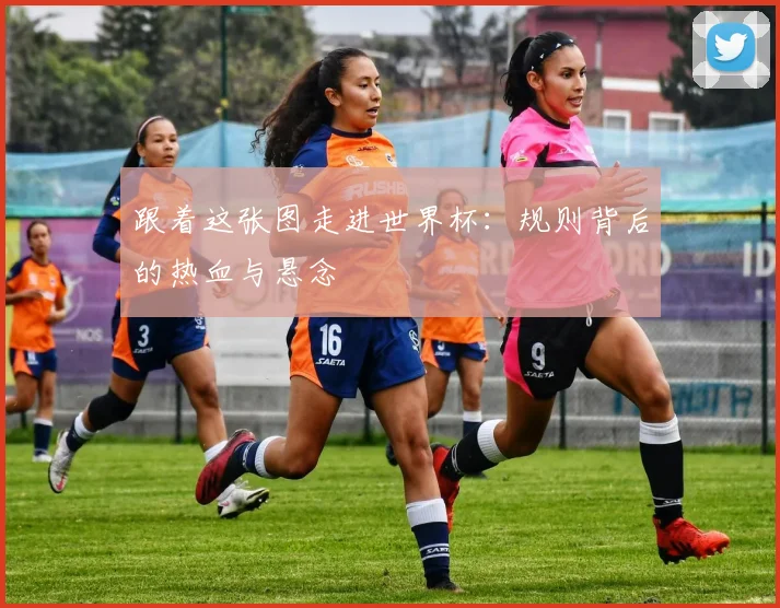 跟着这张图走进世界杯:规则背后的热血与悬念