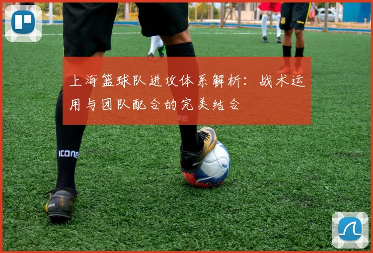 上海篮球队进攻体系解析：战术运用与团队配合的完美结合