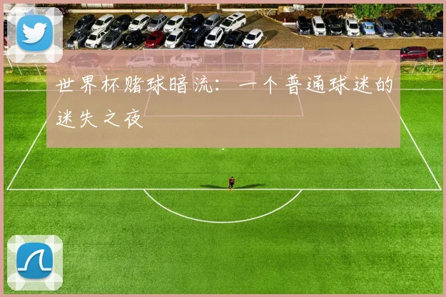 世界杯赌球暗流：一个普通球迷的迷失之夜